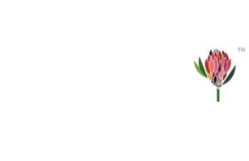 NATION ROLLING PAPER