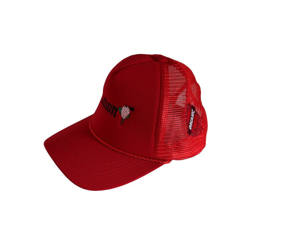 Nation Cap