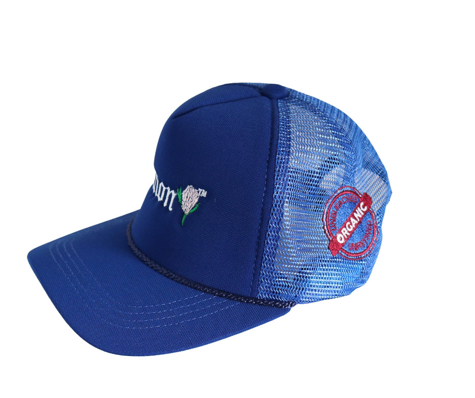 Nation Cap